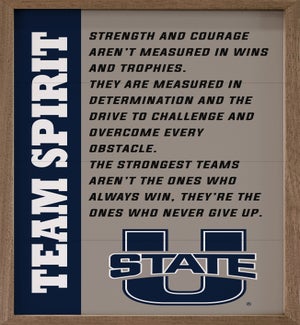 Team Spirit Utah State University
